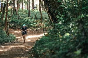 BIB: 
                            <button type="button" onclick="openModal(25336076)" class="btn btn-primary btn-sm float-right btn-popup" data-toggle="modal" data-target=".modal-high-quality">
                        <i class="fas fa-shopping-cart"></i> Add to Cart
                    </button>
                                            <button type="button" onclick="isThisMe(25336076, true)" class="btn btn-success btn-sm float-right btn-popup btn-isme hidden" data-toggle="tooltip" data-placement="bottom" title="นี่คือรูปของคุณใช่ไหม คลิกที่นี่เพื่อเอาเข้าอัลบั้ม">
                        <i class="fas fa-plus"></i> Add to album
                    </button>
                    <button type="button" onclick="isThisMe(25336076, false)" class="btn btn-warning btn-sm float-right btn-popup btn-isnotme hidden">
                        <i class="fas fa-ban"></i> Remove from album
                    </button>